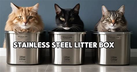 steel litter box 2ft square|stainless steel litter box benefits.